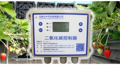中國北方CO?新技術，將促進農作物光合作用和光合產物的生成