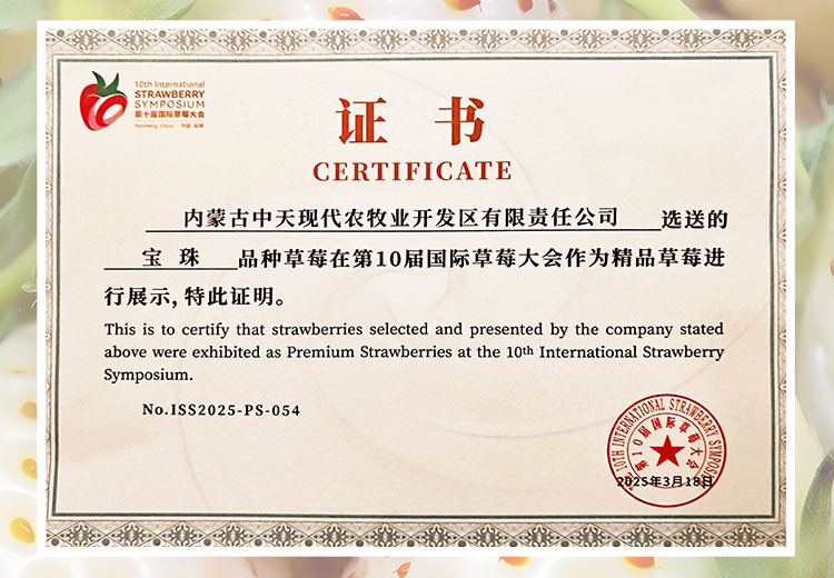 草莓1920網50像素2025年3月12日網頁_04.jpg