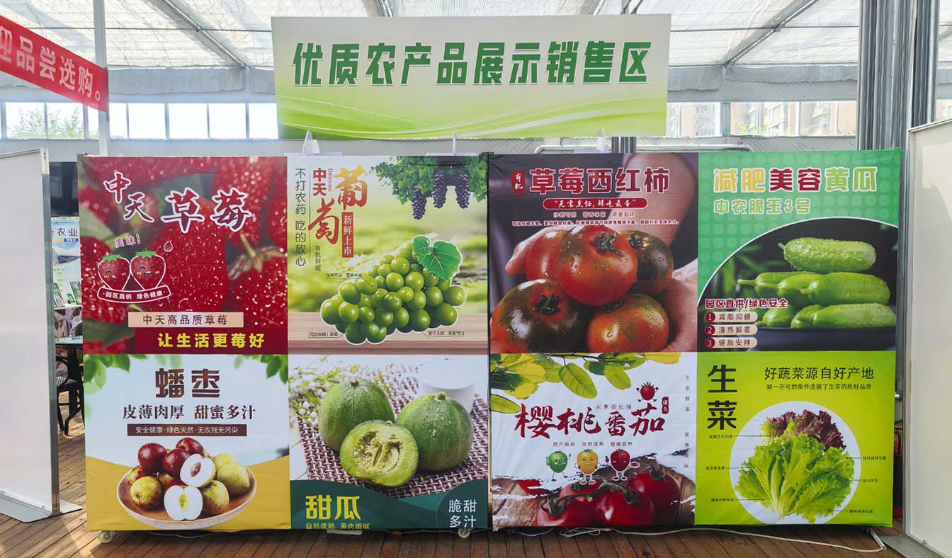 自治區(qū)綠色優(yōu)質(zhì)果蔬展銷中心psd-恢復的_15.jpg