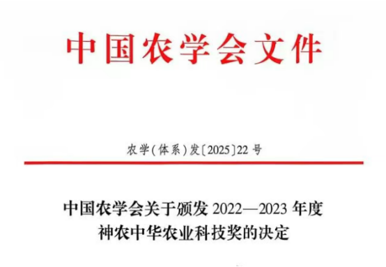 決定（用）.png
