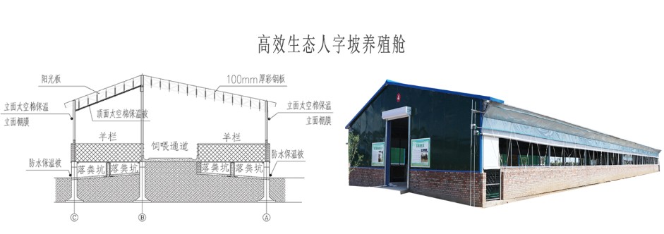 高效生態養殖艙_07.jpg
