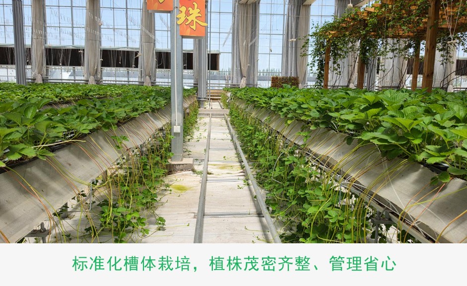 1、高品質種植框ps_10.jpg