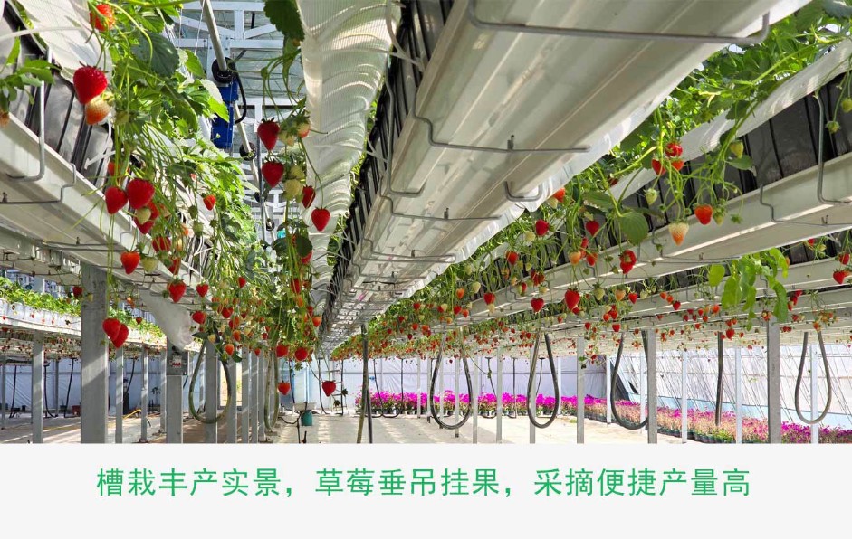 1、高品質種植框ps_12.jpg